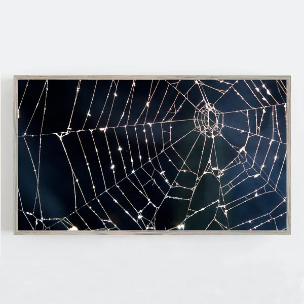 Halloween Spider Web Art Print, Dark Moody Colors