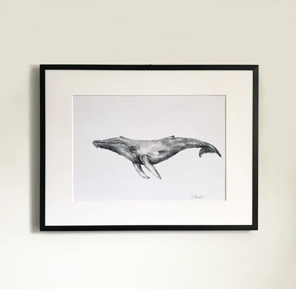Humpback Whale Art Print