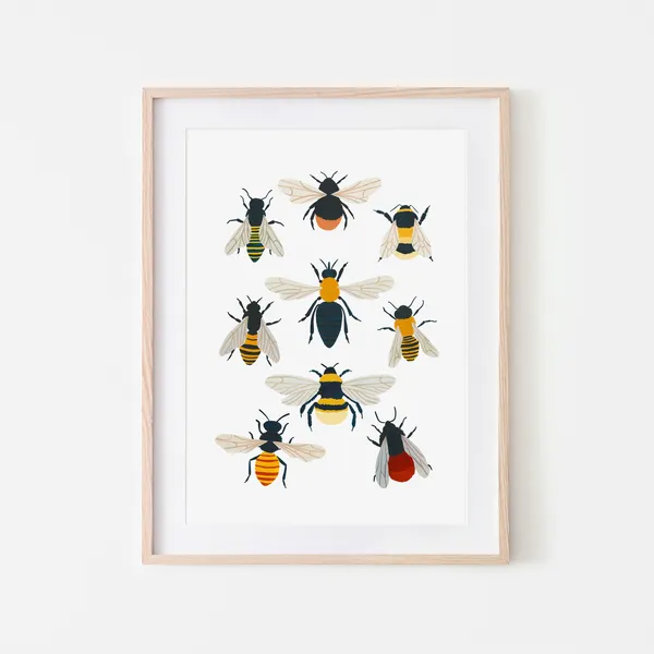 British Bee Species Art Print, Bumblebee Nursery Decor