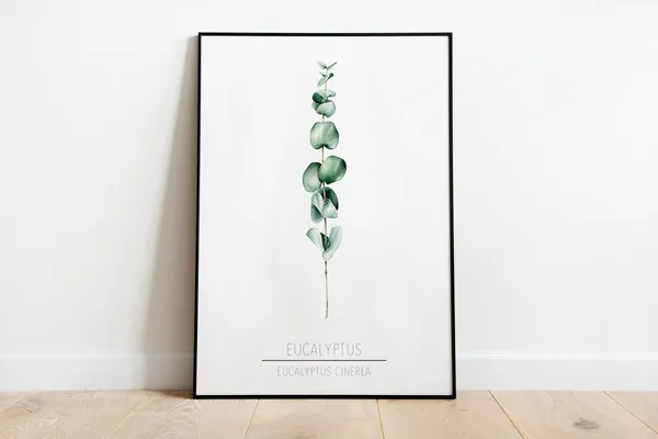 Eucalyptus Poster Print, Botanical Nature Wall Art