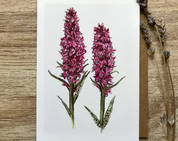 Orchid Card Art Print, Botanical Floral Study