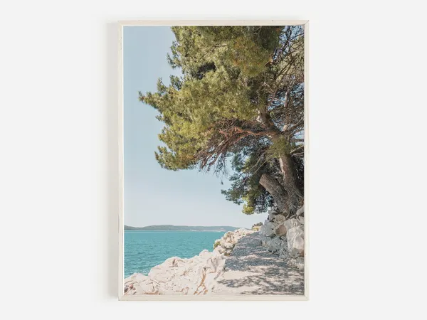 Kvarner Gulf Croatia Aleppo Pine Coastal Art Print