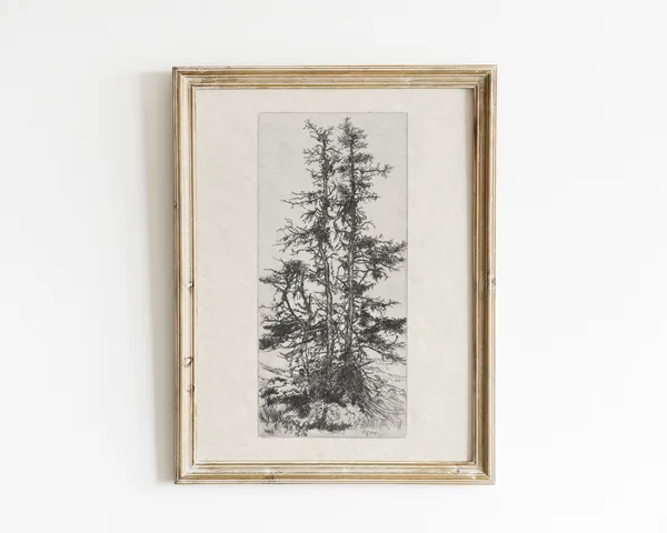 Vintage Pine Tree Art Print, Antique Botanical