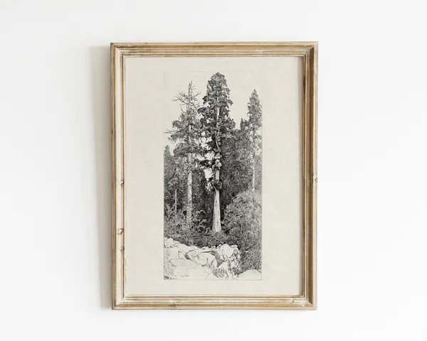 Vintage Botanical Forest Tree Drawing Art Print