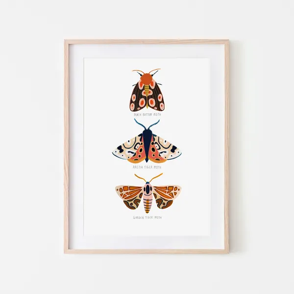 Moth Trio Art Print, Woodland Nursery Decor