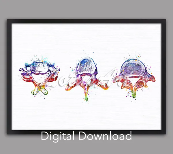 Vertebrae Anatomy Watercolor Art Print, Doctor Office