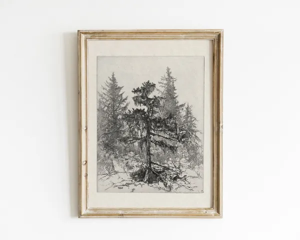 Vintage Tree Sketch, Antique Botanical Art Print