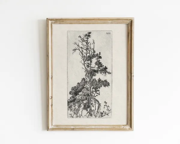 Vintage Antique Tree Sketch Botanical Art Print
