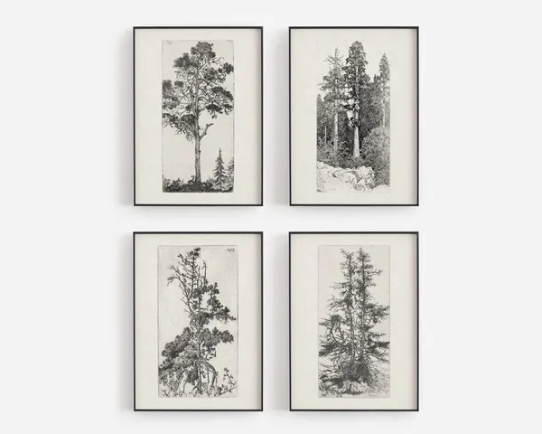 Tree Study Collection, Nature and Forest Art Print