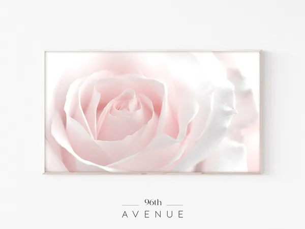 Flower Frame TV Rose - Floral Art Print
