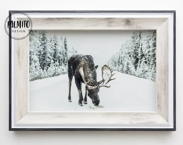 Reindeer Winter Christmas Deer Scandinavian Art Print