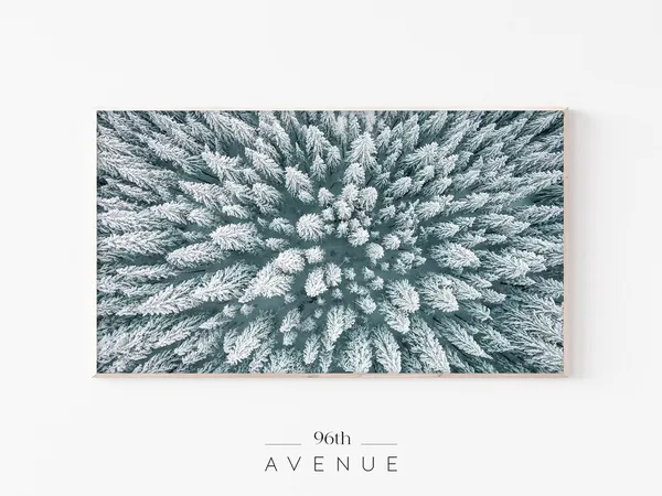 Aerial Winter Forest Art Print