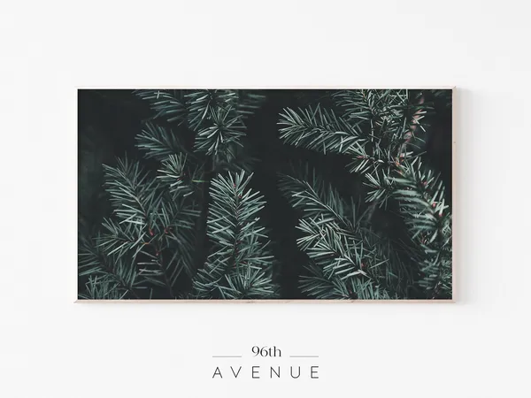 Pine Tree Branches - Nature Art