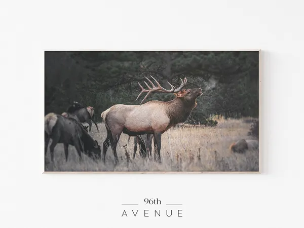 Reindeer Art, Scandi Winter Holiday Wall Art Print