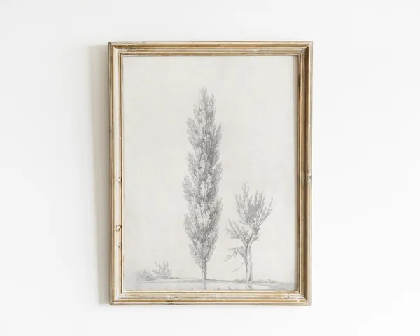 Tree Sketch Vintage Tree Drawing Art Print
