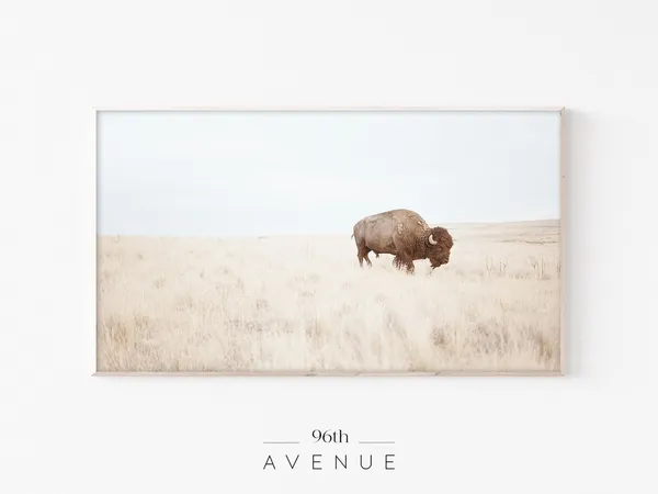 Farmhouse Bison Art, Western Wall Art Print
