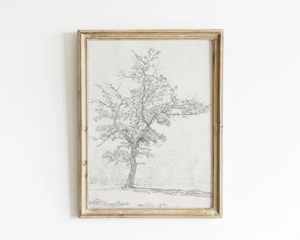 Vintage Tree Sketch Botanical Antique Art Print