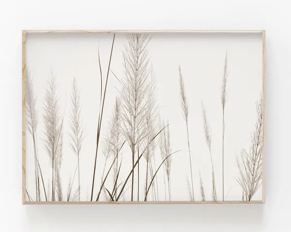 Pampas Grass Botanical Art Print, Modern Minimalist Poster