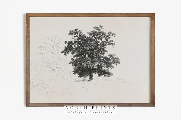 Antique Neutral Tree Sketch Vintage Nature Art Print