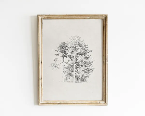 Vintage Botanical Tree Sketch Art Print, Nature Drawing