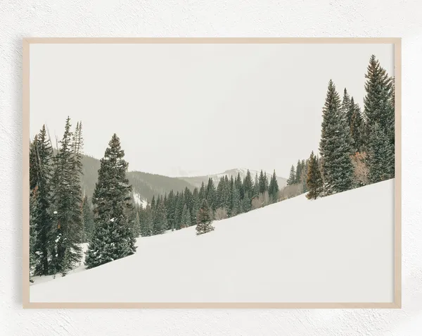 Nature Photography Minimalist Poster Print