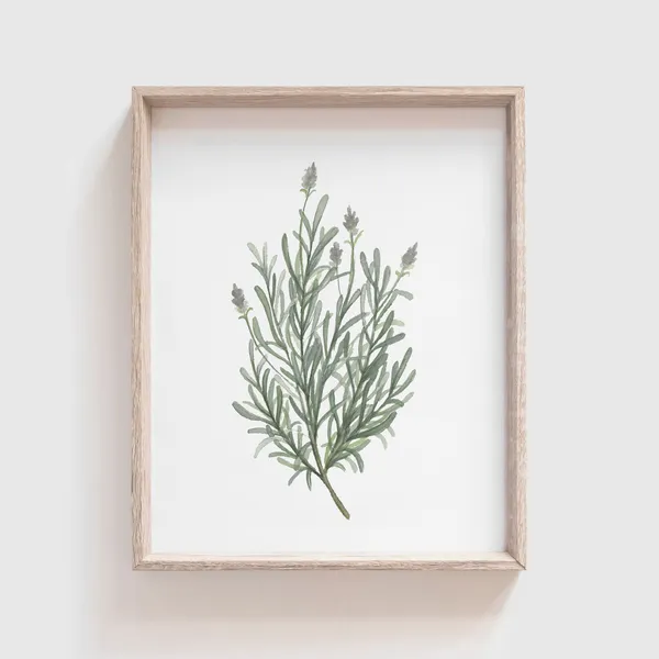 Lavender Watercolor Herb Art Print, Kitchen Decor