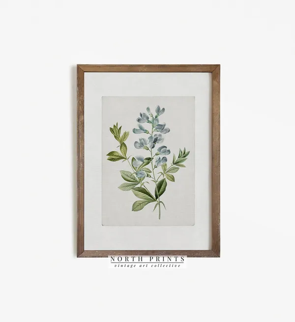 Farmhouse Botanical Blue Flower Watercolor Art Print