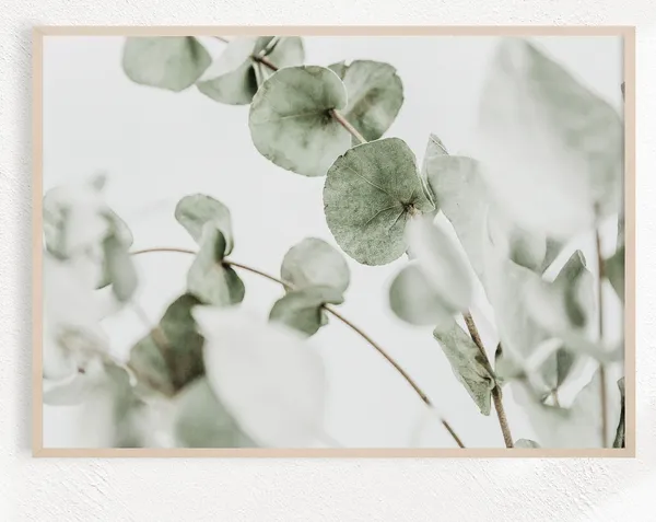 Eucalyptus Horizontal Botanical Poster Print