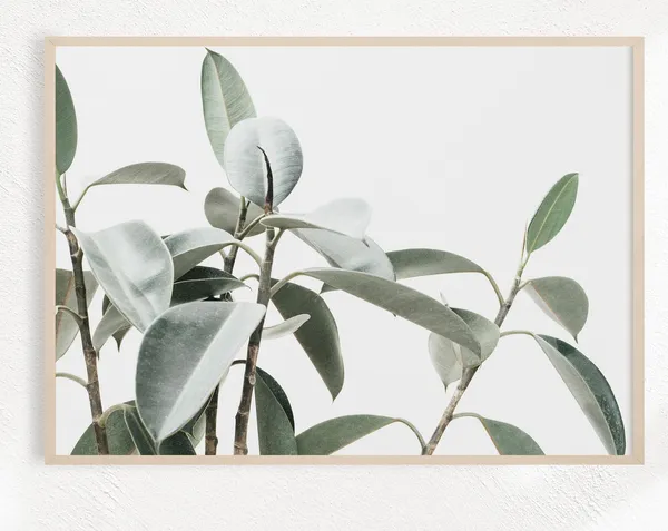 Eucalyptus Botanical Farmhouse Art Print