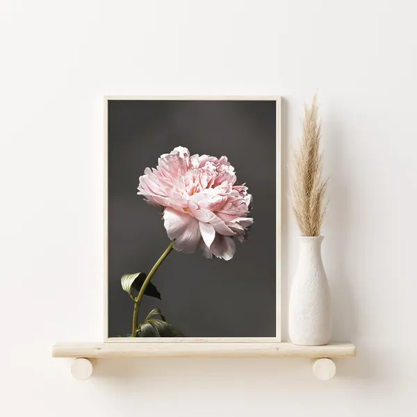 Moody Pink Peonies, Botanical Art Print