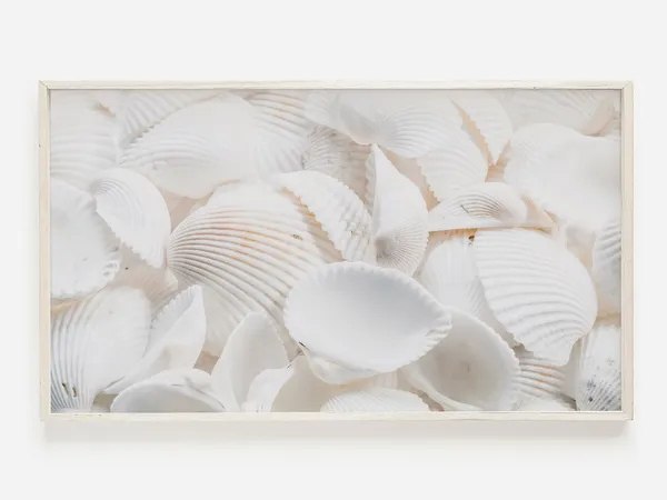 Sea Shell Photo Neutral Beach Art Print, Boho