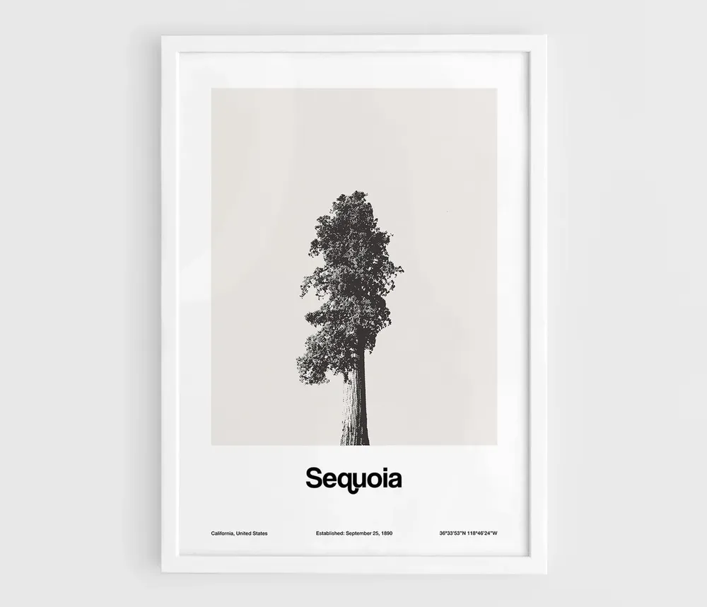 Sequoia National Park Minimalist Poster Print, Custom