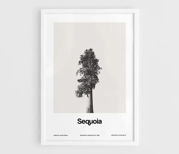 Sequoia National Park Minimalist Poster Print, Custom