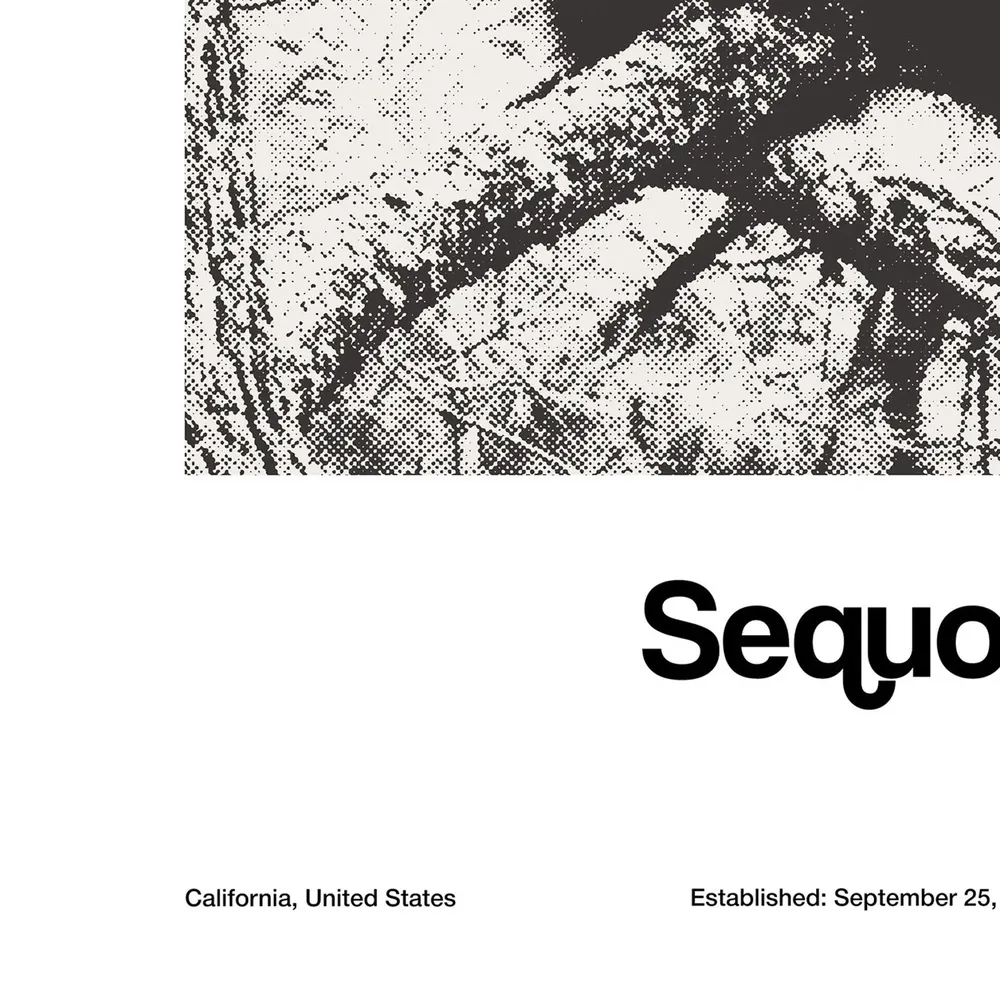 Sequoia National Park Black Bears, Minimalist Art Print - Image 2