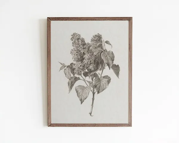Lilac Print, Vintage Farmhouse Floral Art Print