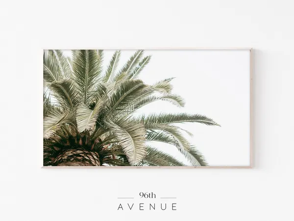 Palm Trees Photography Art Print, Tropical Decor