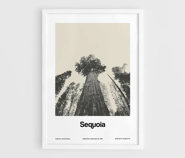 Sequoia National Park Giant Forest Minimalist Travel Poster
