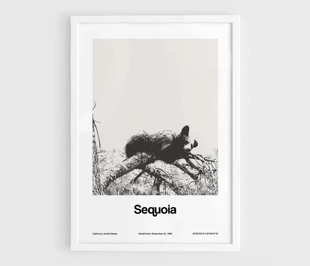 Sequoia National Park Black Bears, Minimalist Art Print