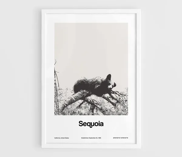 Sequoia National Park Black Bears, Minimalist Art Print