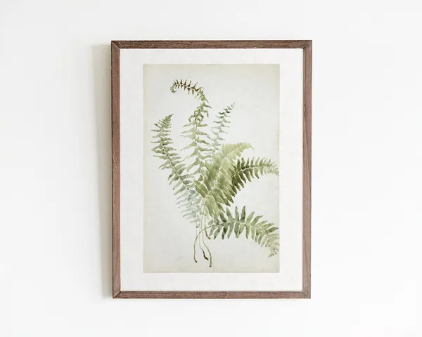 Fern Botanical Print, Vintage Watercolor Boho Art Print
