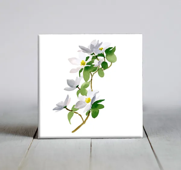 Dogwood Flowers Botanical Art Print, Nature Gift