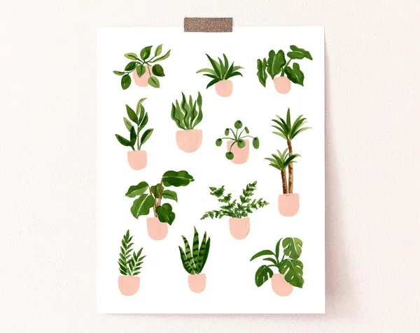 House Plants Botanical Wall Art, Sabina Fenn Art Print