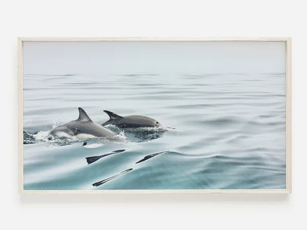Dolphin Ocean Animal Art Print, Coastal Decor
