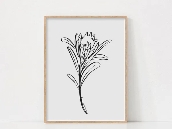 Protea Black And White Floral Line Art Print