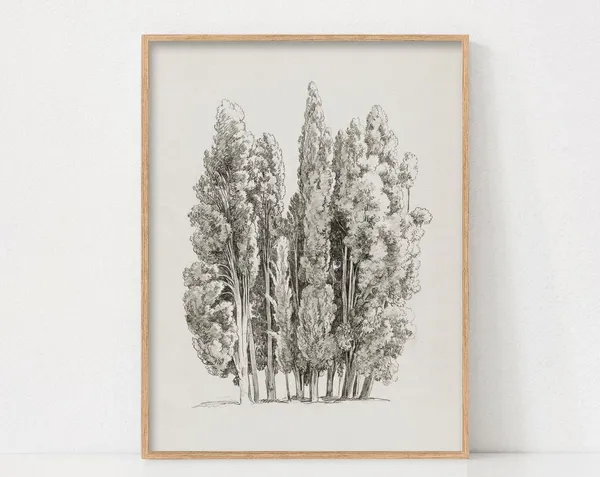 Vintage Tree Sketch Art Print, Rustic Botanical Drawing