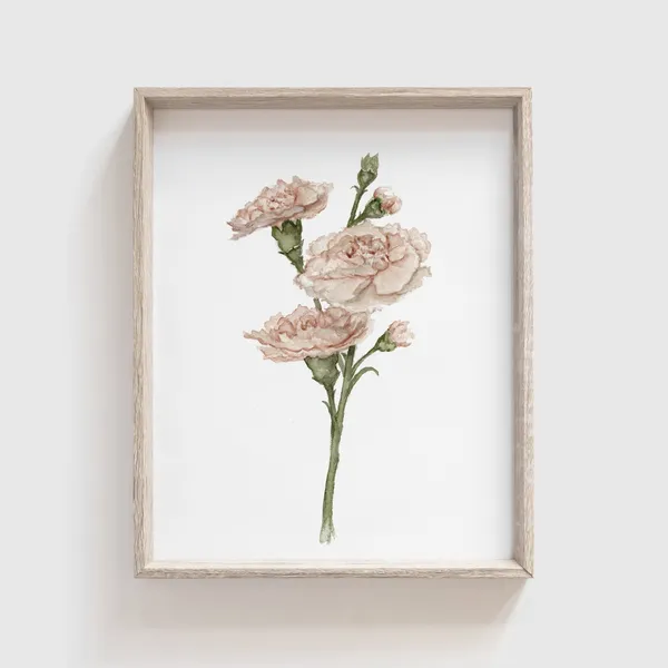 Carnation Flower Art Print, Watercolor Floral Decor