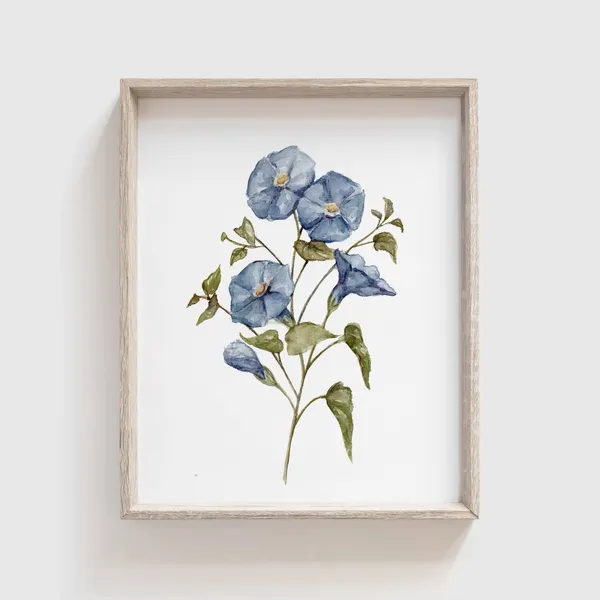 Morning Glory Flower Watercolor Art Print