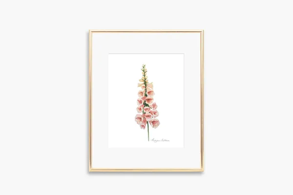 Foxglove Flower Watercolor Art Print, Floral Decor