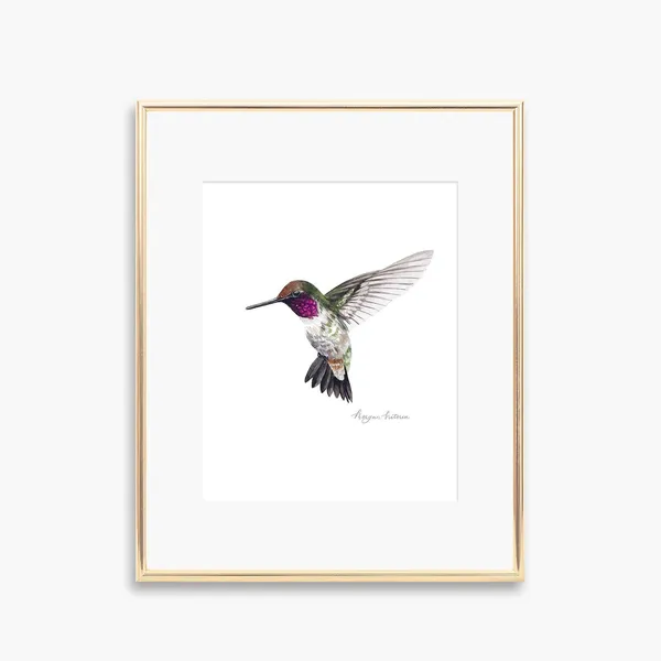 Hummingbird Watercolor Art Print, Whimsical Nursery Decor