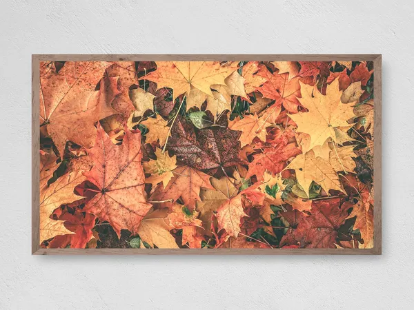 Leaf Colors on Display, Botanical Art Print